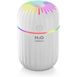 rongweiwang Humidificateur d'air 300 ML Bureau Chambre diffuseur brumisateur Portable Voyage décoration brumisateur