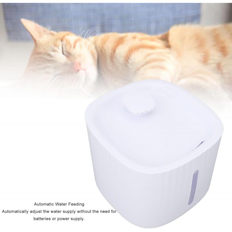 Fontaine d'eau pour Chat, Fontaine d'eau Automatique Transparente pour Chat, Distributeur d'eau pour Chien, Bol d'eau pour Chat,