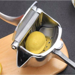 Fruit squeezer