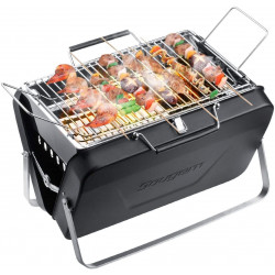 Portable barbecue in the...