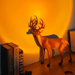 sunset projection lamp