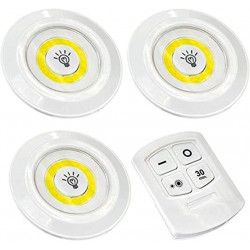 led light with remote...